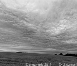 DSC_1544_DxO